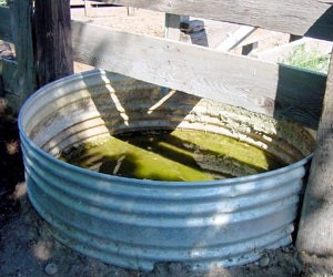 This is an Around the House depicting a location for potential mosquito habitat.