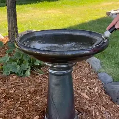 This is a Bird Bath Image for a potentional mosquito breeding location.
