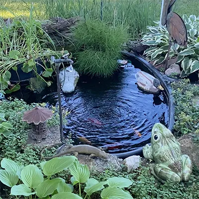 This is a Landscape Ponds Image for a potentional mosquito breeding location.